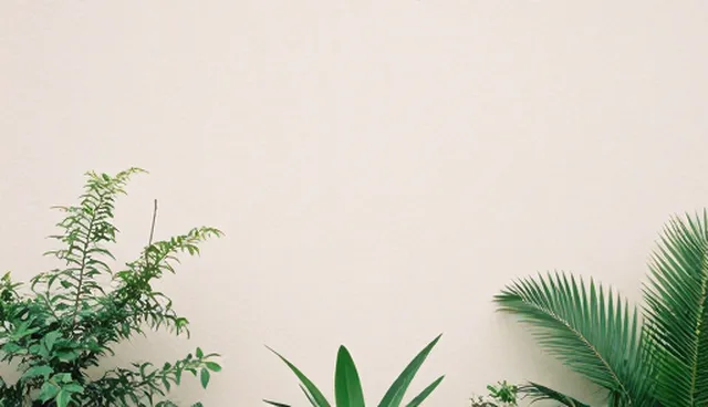 管理诊断服务如何选择？适用条件你清楚吗？